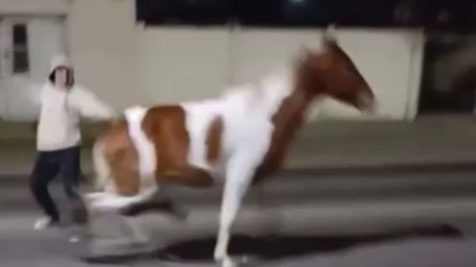 "Doma" a caballo en plena ruta, maltratando al animal