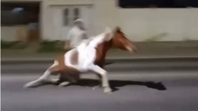 "Doma" a caballo en plena ruta, maltratando al animal