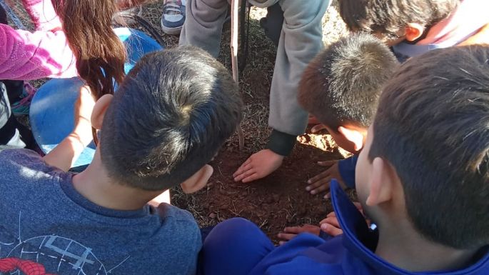 Niños plantaron árboles por el Día del Ambiente
