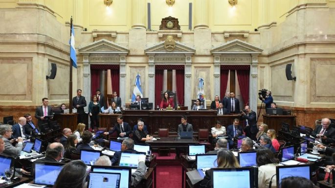 El Senado aprobó aumento en jubilaciones y convirtió en ley la emergencia en discapacidad
