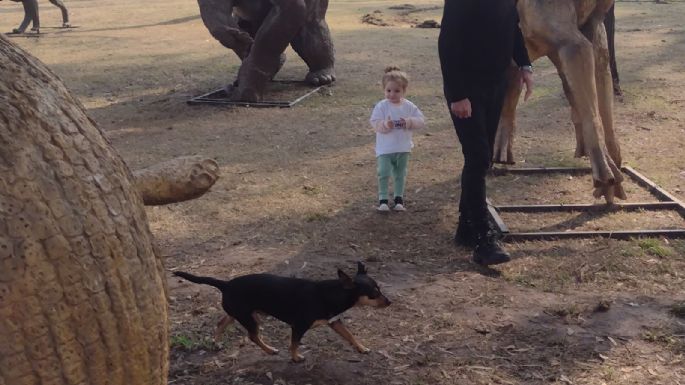Inauguran el Parque Inclusivo, que tiene dinosaurios