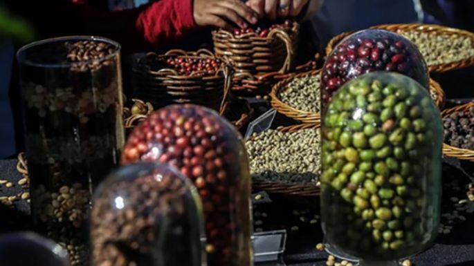 Industriales del café logran los ingresos más altos de la historia por exportaciones