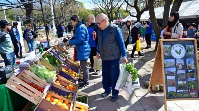 Alimentos a precios accesibles: dónde se ubicará el Mercado de Abaratamiento