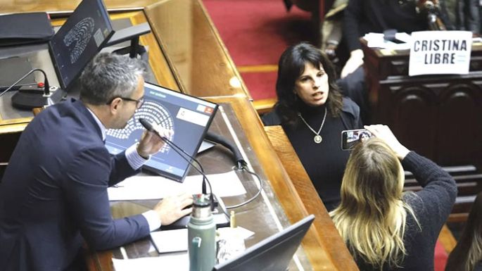 Gritos y chicanas en Diputados