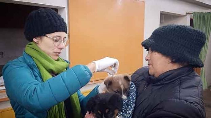 Aplicaron 700 dosis antirrábicas