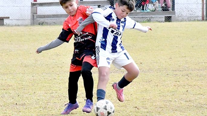 Domingo con “campeones”
