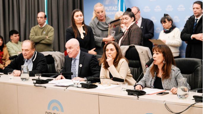 Dictamen en comisión para la emergencia del Garrahan