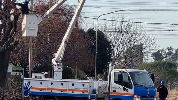 Municipio y Cooperativa realizan una poda en todo el pueblo