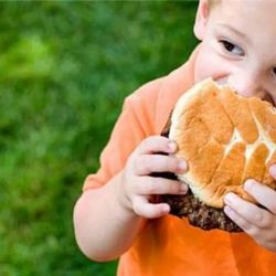 ¿Por qué es el Día Nacional del  Síndrome Urémico Hemolítico?