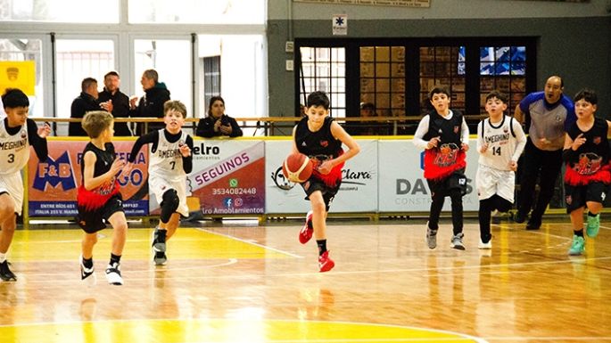 Ameghino busca clasificar