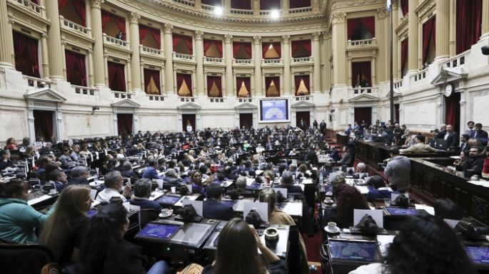 La Cámara de Diputados rechazó el veto a la emergencia en discapacidad