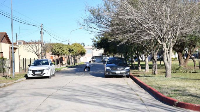 Edith Vera­ - La poesía infantil escrita en una calle