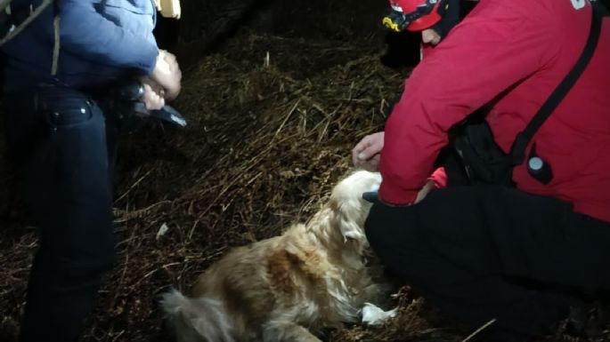 Rescataron a dos hombres y sus perros en el Cerro Champaquí