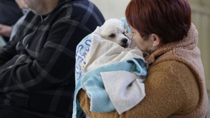 Comenzó la campaña gratuita de castración de mascotas en barrio Bello Horizonte