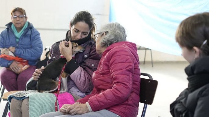Campaña de castración gratuita en Bello Horizonte