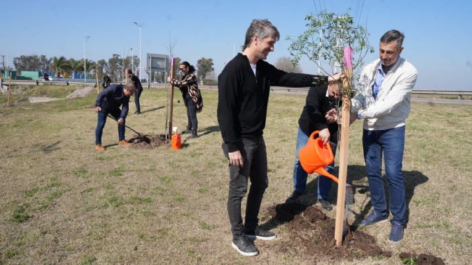 En la semana plantaron 369 árboles en zonas de la ciudad