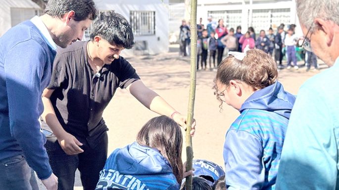 Plantaron nuevos ejemplares en el patio