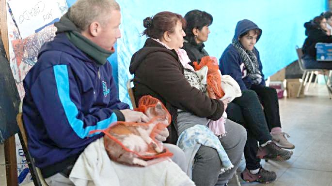 Castración gratuita de las mascotas