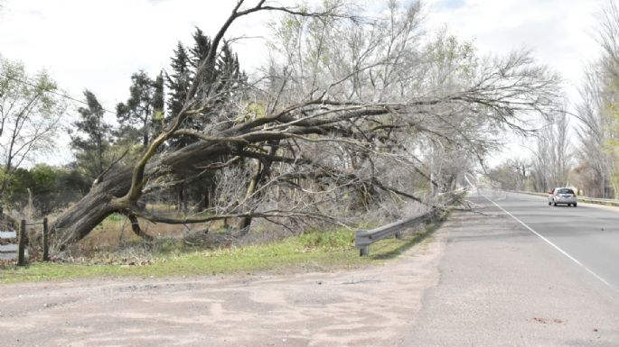 El conglomerado soportó sin problemas una lluvia histórica