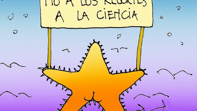 Humor 06/08/2025