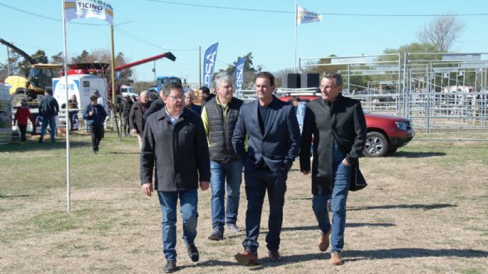 Ticino vive la Expontánea 2025 con récord de stands e innovación para el agro