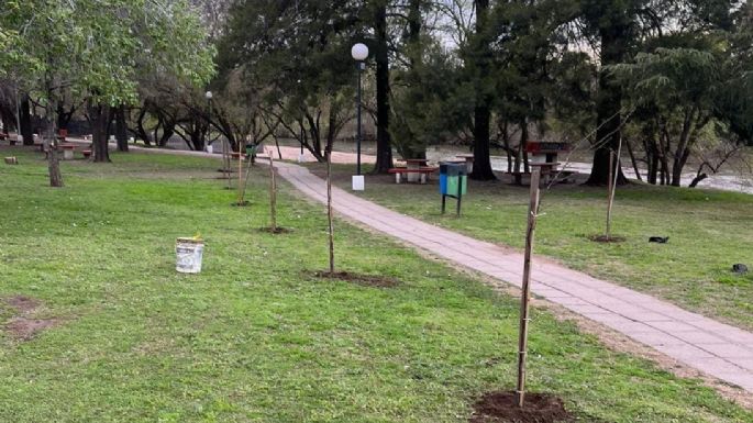 Plantaron 30 árboles nativos desde el Barrancas al Santa Ana