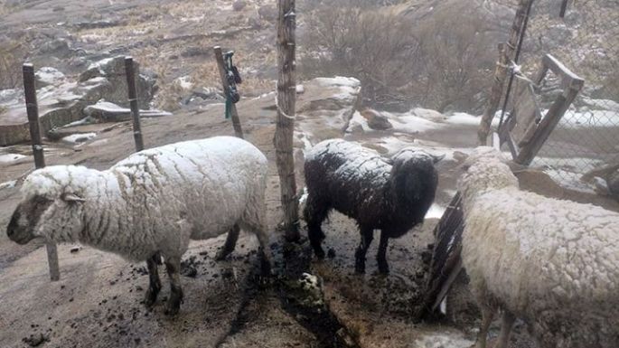 Nevó en el Cerro Champaquí