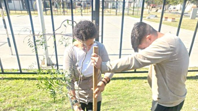 Se plantaron más árboles
