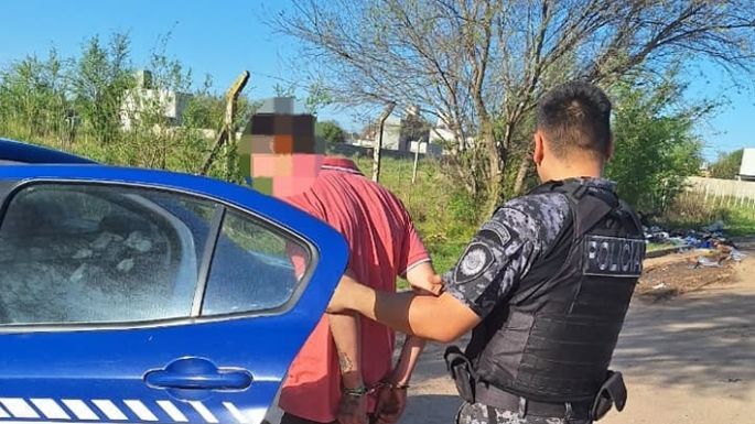 Cayó otro ladrón