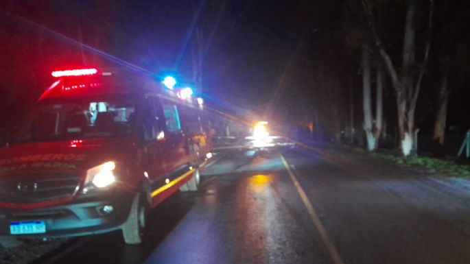 Bomberos retiraron un eucalipto caído sobre Ruta 2