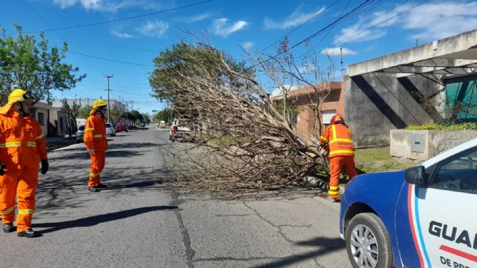 Destrozos por el viento y riña violenta