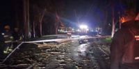 A la madrugada, en la avenida Borrás cayó un eucalipto y obstaculizó el tránsito vehicular