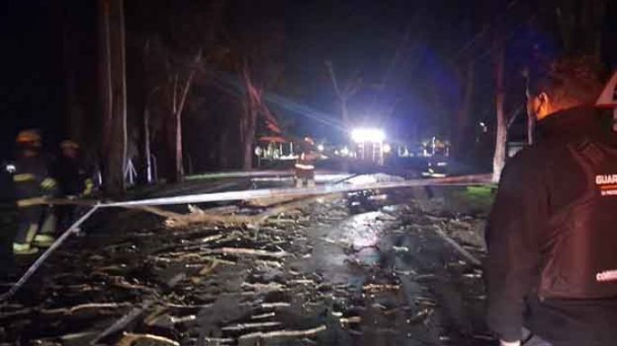 Lo que el temporal nos dejó