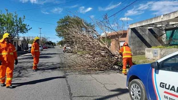 Lo que el temporal nos dejó
