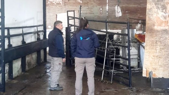 Clausura y decomiso de carne por faena clandestina
