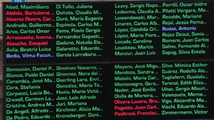 El Senado rechazó el veto a la la Ley de Emergencia en Discapacidad y deberá ser promulgada