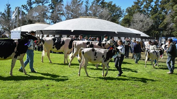 Todos los premios en la Rural