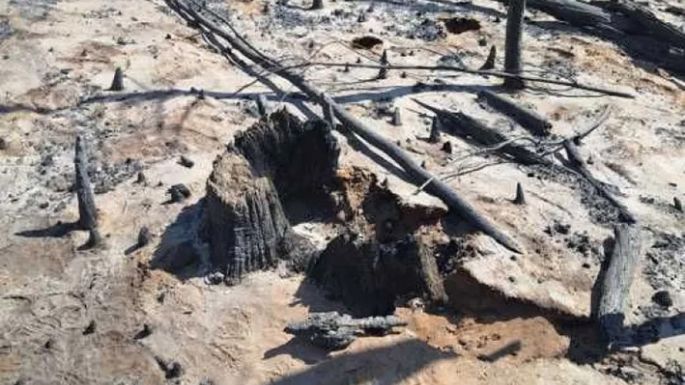 “El incendio fue intencional”