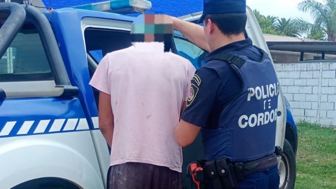 Un aprehendido por hurto en dos viviendas