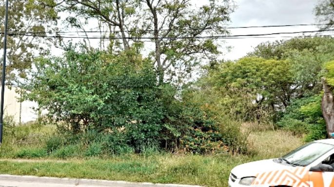 Limpieza de baldíos: comenzó un operativo con 27 intimaciones