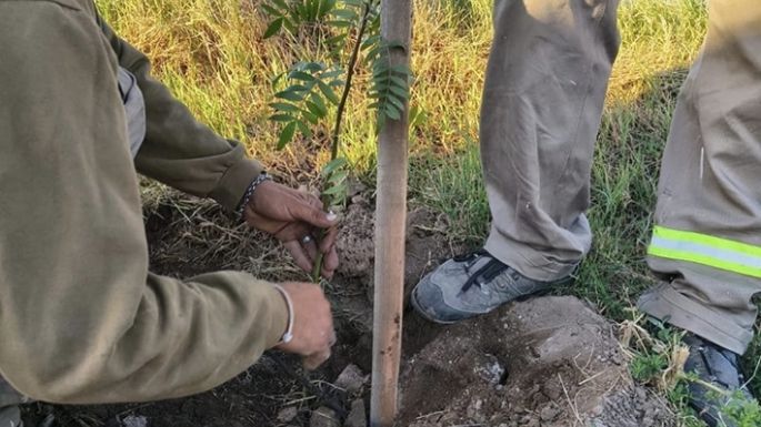 Fue reconocida por su contribución al ambiente