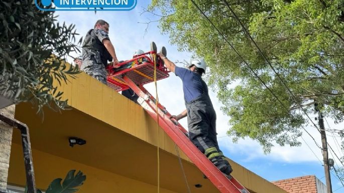 Bomberos auxiliaron a un vecino lesionado en un techo