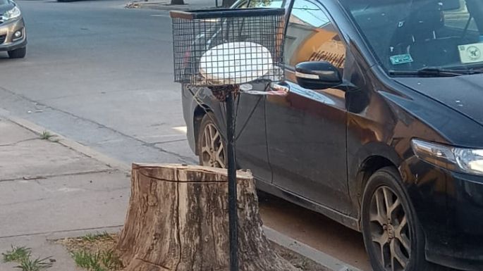 Extrajeron un árbol a pedido de los vecinos