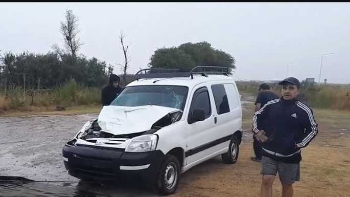 Caballos sueltos provocaron un accidente en la ruta