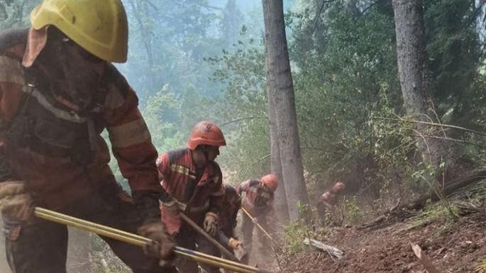El fuego consumió 40 mil hectáreas