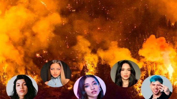 Luck Ra y La Joaqui, junto a otros artistas, colaboraron por los incendios en la Patagonia