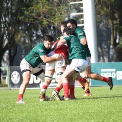 El Verde no se baja