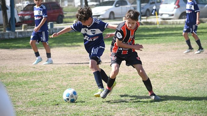 Completan en el baby