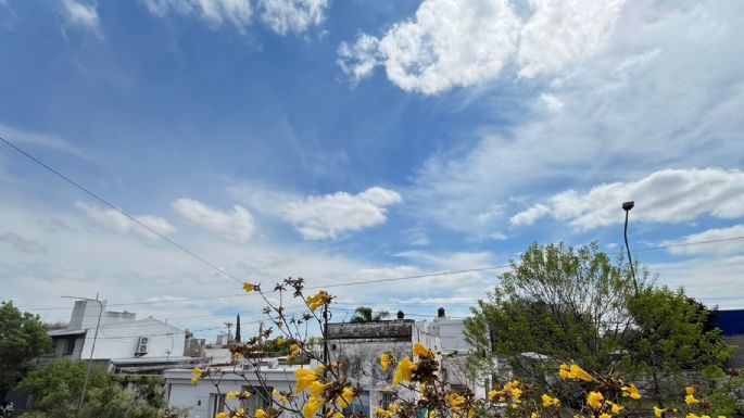 Mucho viento: qué dice el pronóstico para las próximas horas