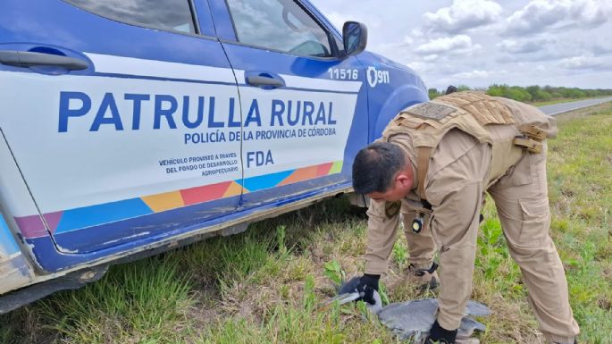 Rescataron a una garza mora herida a la vera de la ruta